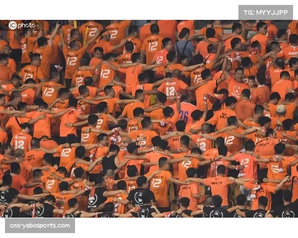 非洲联赛球迷上座率稳步增长 球市氛围热烈